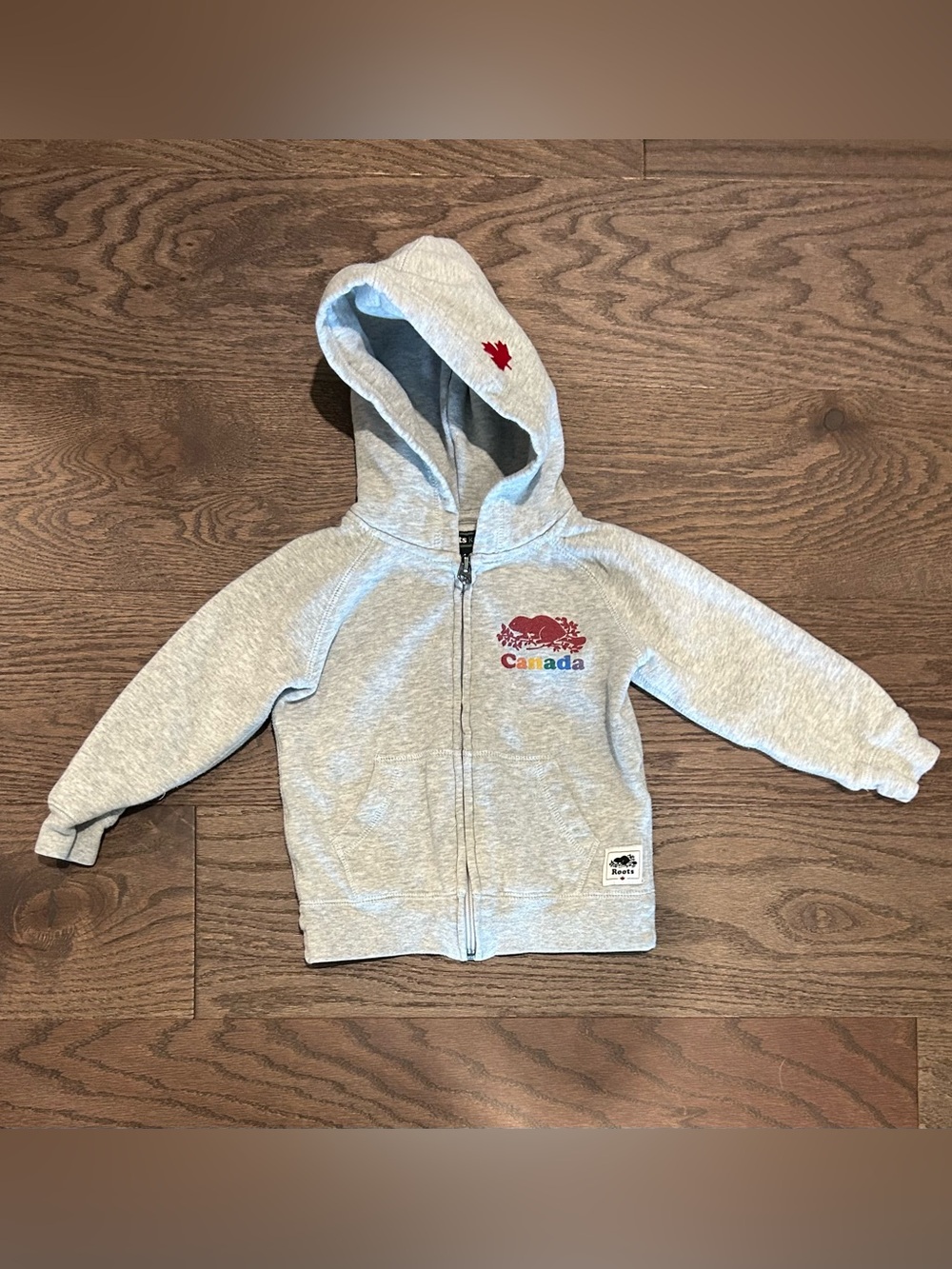 Roots Size 2T Canada Hoodie